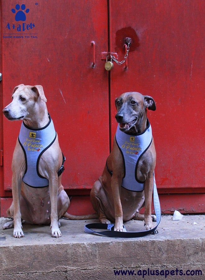 A+a Pets طقم حزام ومقود باتاكا من A+a Pets، مقاس كبير - Image 1